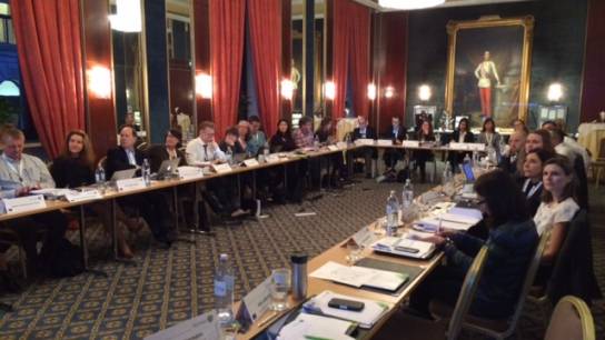 Day 1: The PECUNIA partners and the Scientific Advisory Board members with Franz Joseph I. in the background